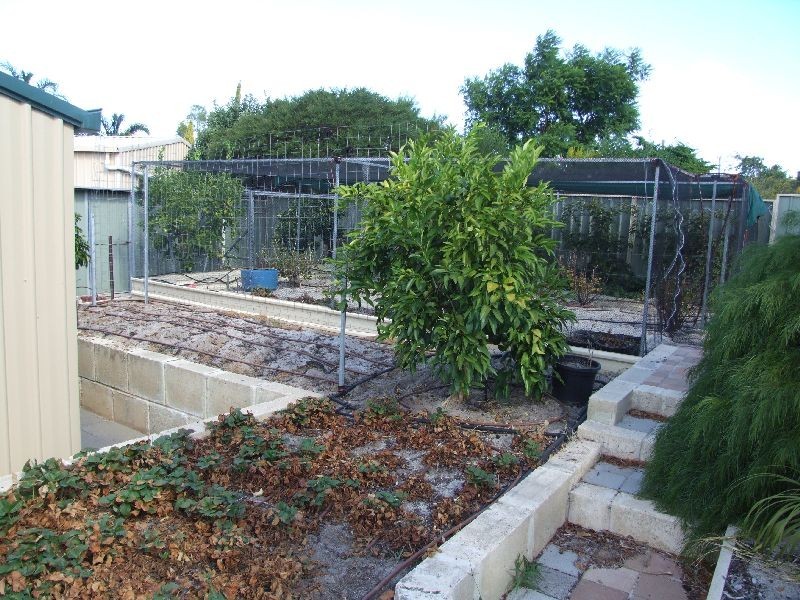 14 Mead Street, Donnybrook WA 6239