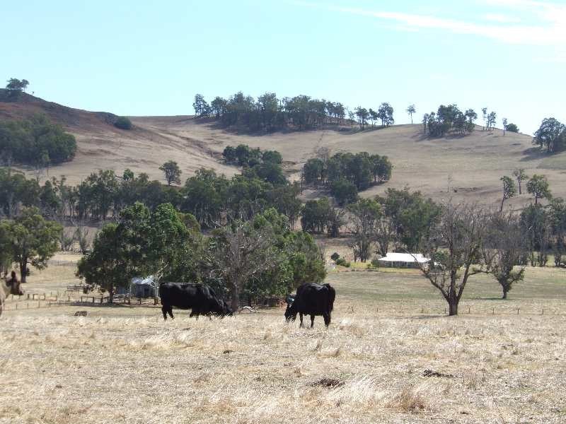 105 Mandalay Road, Donnybrook WA 6239