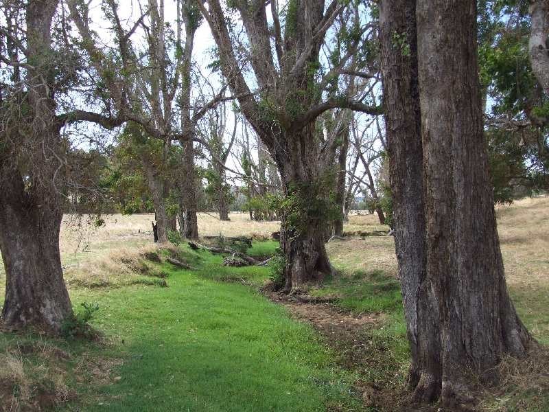 105 Mandalay Road, Donnybrook WA 6239