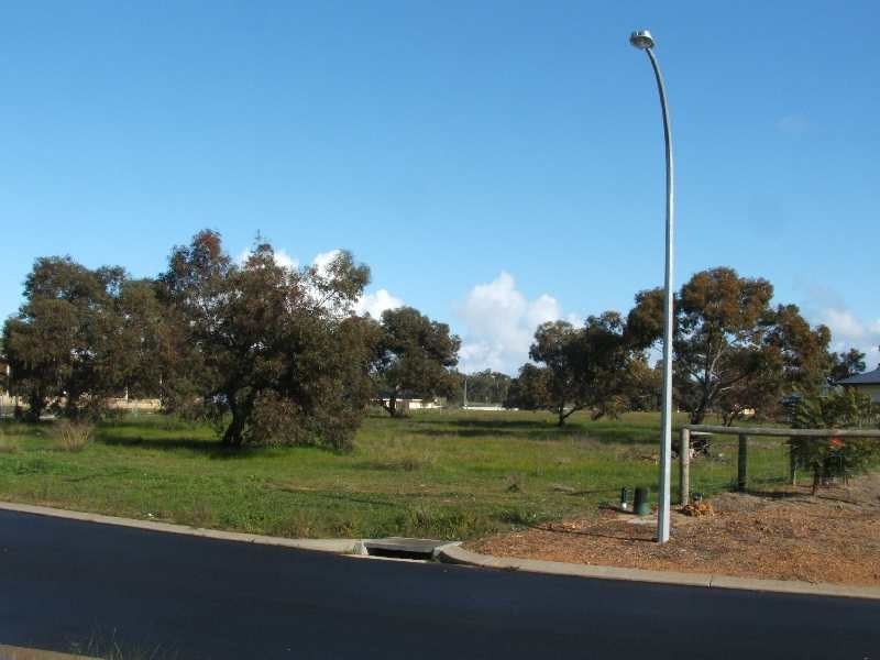 10 Melaleuca Place, Donnybrook WA 6239