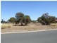 10 Melaleuca Place, Donnybrook WA 6239
