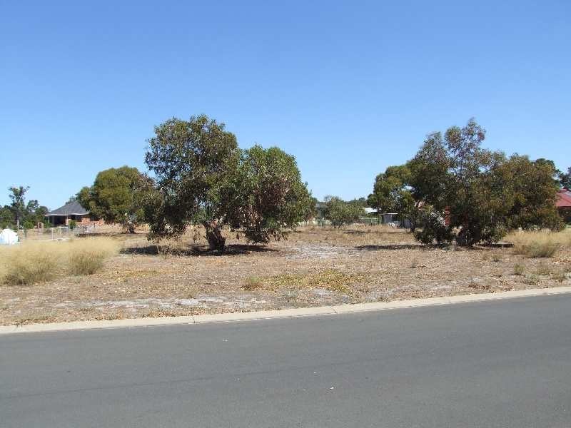 10 Melaleuca Place, Donnybrook WA 6239