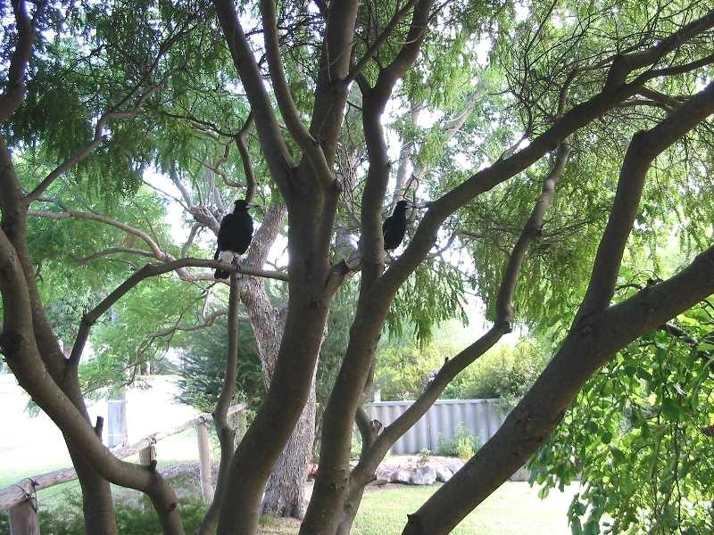 8 Emerald Street, Donnybrook WA 6239