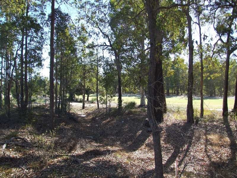 Lot 3831, Ecclestone Street, Donnybrook WA 6239