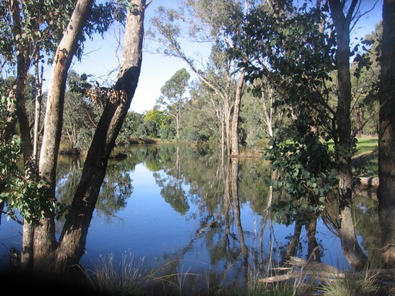 Lot 13, 18 Forest View Court, Greenbushes WA 6254