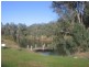 Lot 13, 18 Forest View Court, Greenbushes WA 6254