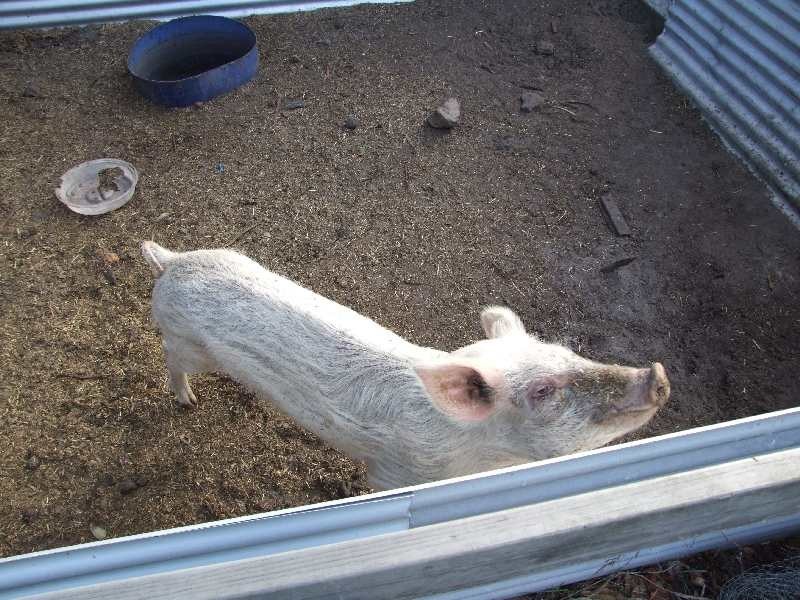 1252 Upper Capel Road, Donnybrook WA 6239