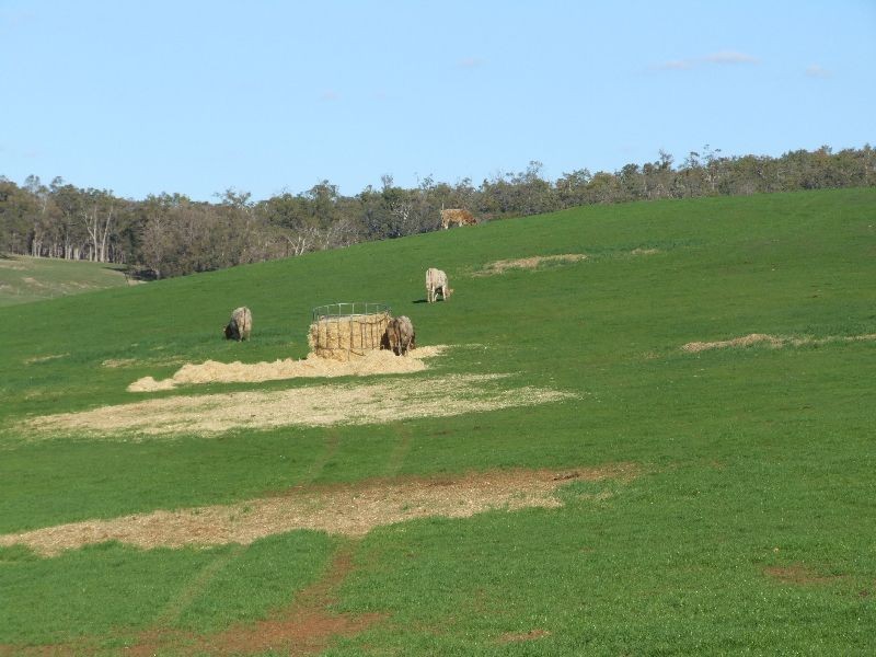 75 Charlton Rd, Lowden WA 6240