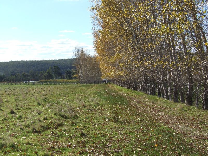 Lot 71,  Newlands Rd, Newlands WA 6251