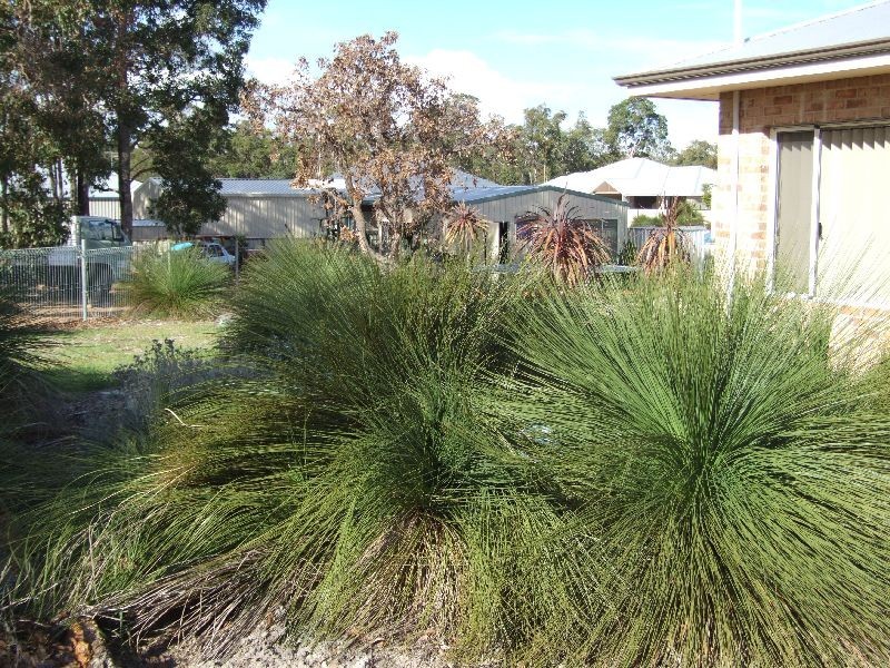 42 Leschenaultia Circle, Donnybrook WA 6239