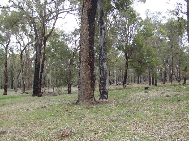 Lot 2,  Chapman Rd, Mcalinden WA 6225