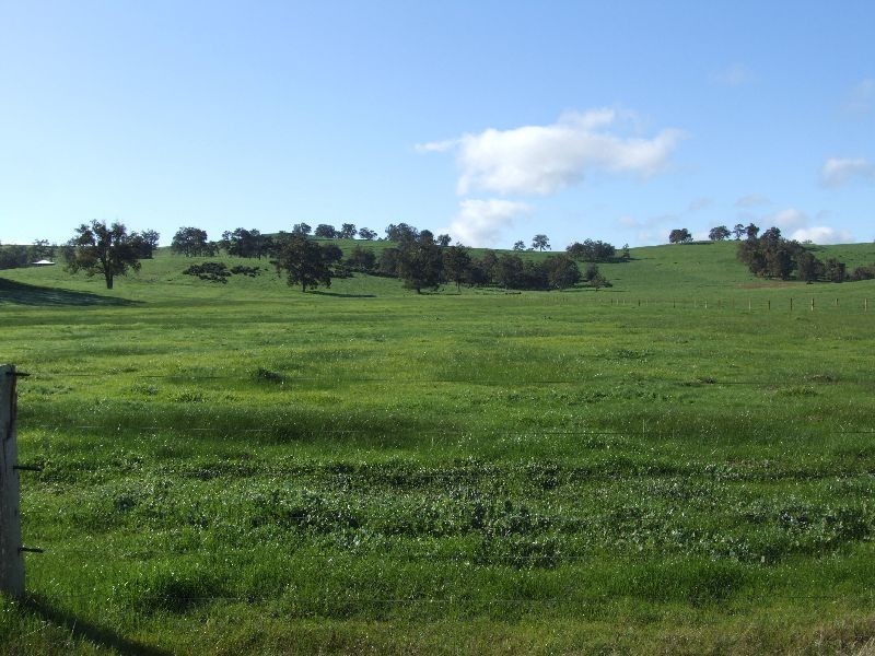 80 Kelly, Donnybrook WA 6239