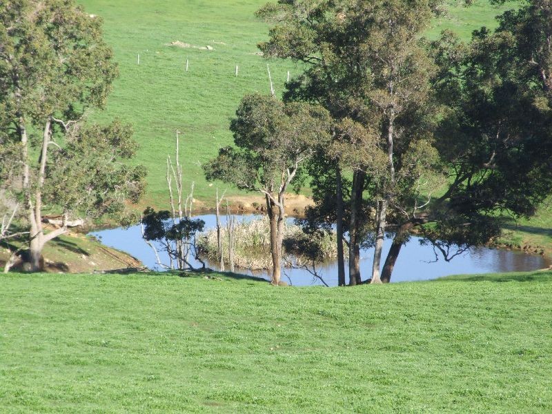 80 Kelly, Donnybrook WA 6239