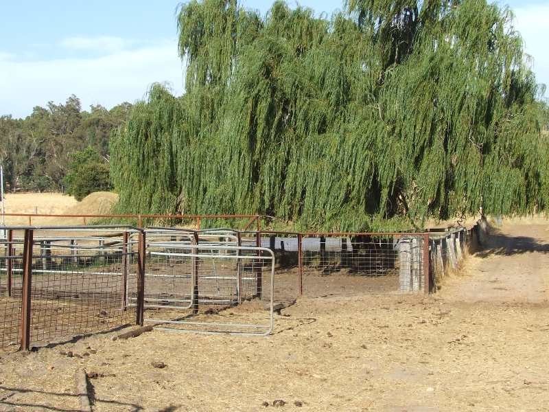 81 Upper Capel Road, Donnybrook WA 6239