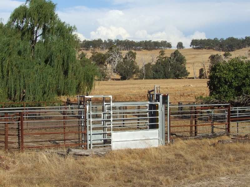 81 Upper Capel Road, Donnybrook WA 6239