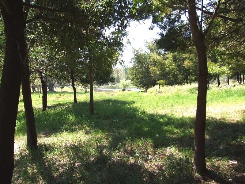 111 Balingup – Nannup Road, Balingup WA 6253