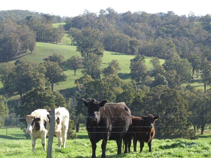 276 Forrest Rd, Donnybrook WA 6239