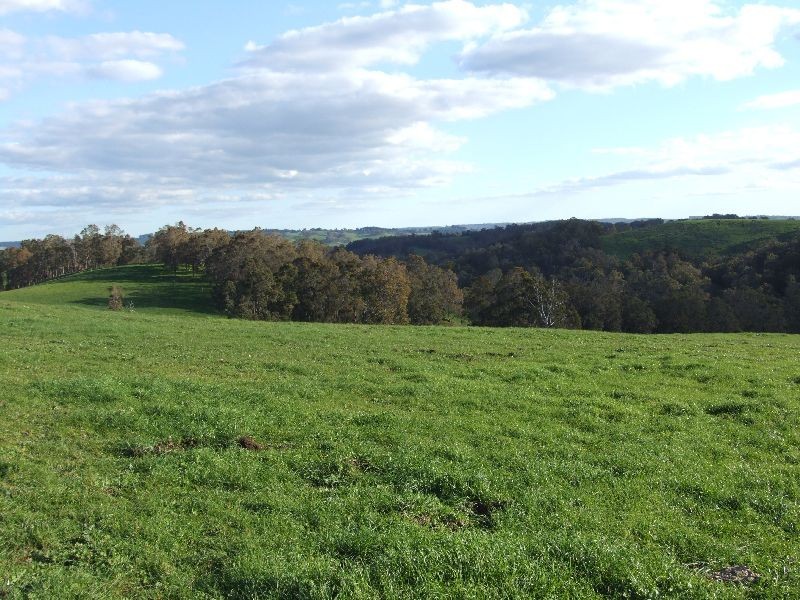 Lot 378,  Forrest Rd, Donnybrook WA 6239