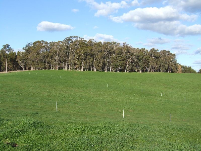 Lot 378,  Forrest Rd, Donnybrook WA 6239