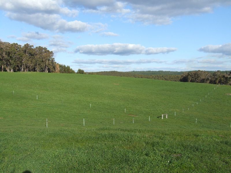 Lot 378,  Forrest Rd, Donnybrook WA 6239