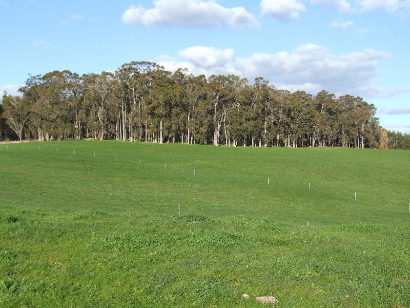 Lot 378,  Forrest Rd, Donnybrook WA 6239