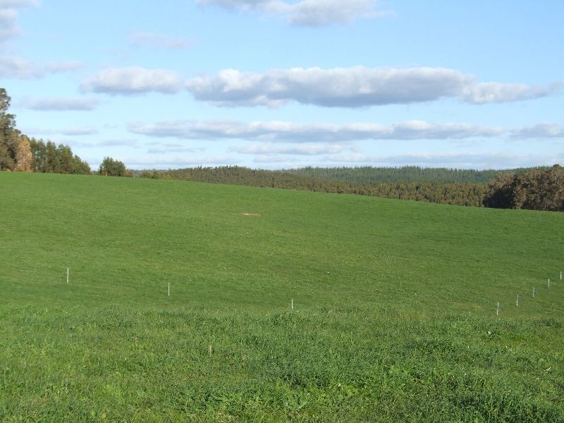 Lot 378,  Forrest Rd, Donnybrook WA 6239