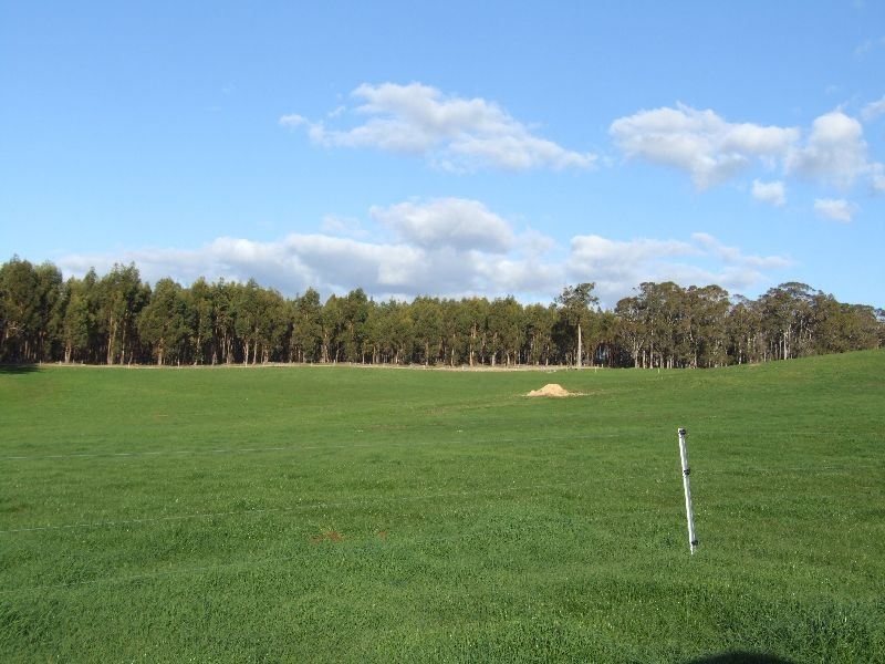 Lot 378,  Forrest Rd, Donnybrook WA 6239