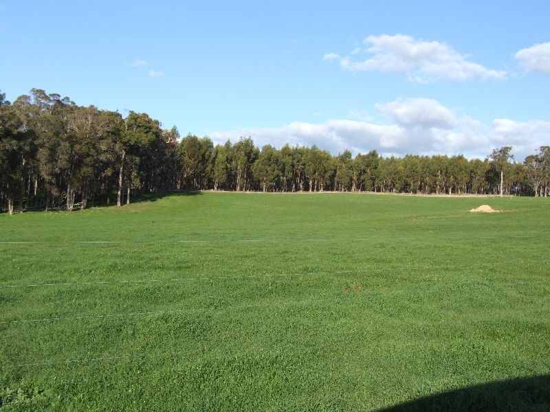 Lot 378,  Forrest Rd, Donnybrook WA 6239