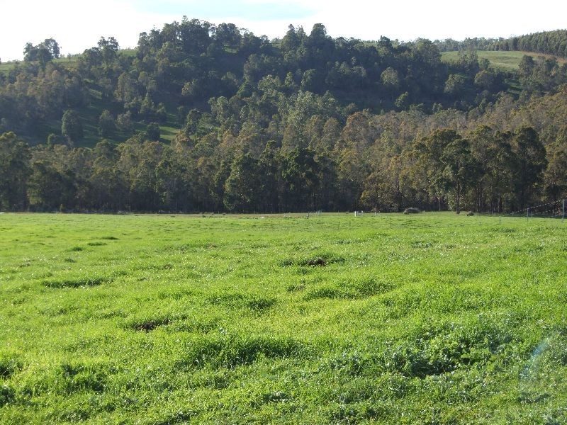 Lot 378,  Forrest Rd, Donnybrook WA 6239