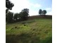 51 Warner, Mullalyup WA 6252