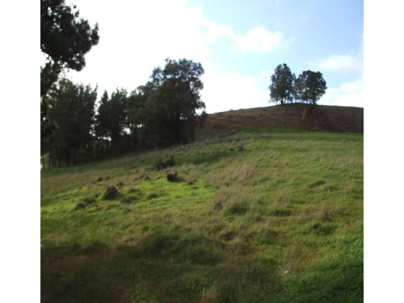 51 Warner, Mullalyup WA 6252