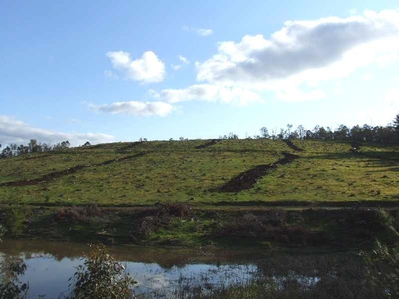 Lot 102,  Beelerup road, Donnybrook WA 6239