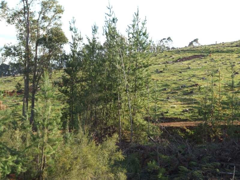 Lot 102,  Beelerup road, Donnybrook WA 6239