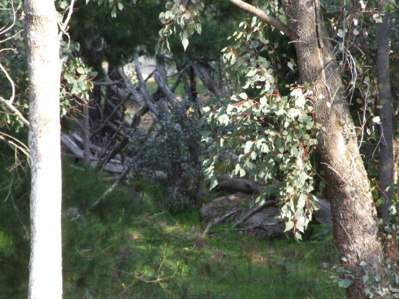 Lot 102,  Beelerup road, Donnybrook WA 6239