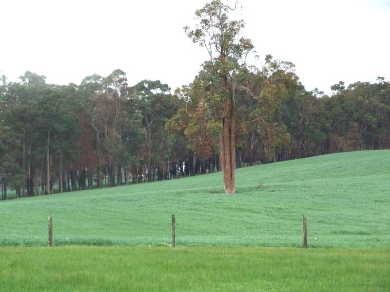 Lot 2 Hundley, Noggerup WA 6225