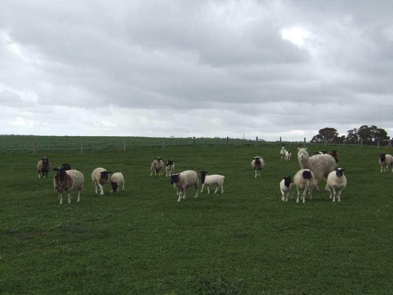 Lot 2 Hundley, Noggerup WA 6225