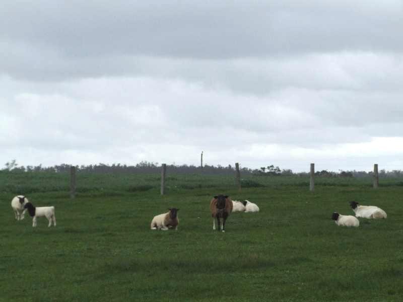 Lot 2 Hundley, Noggerup WA 6225