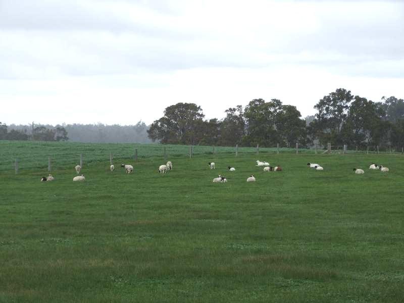 Lot 2 Hundley, Noggerup WA 6225