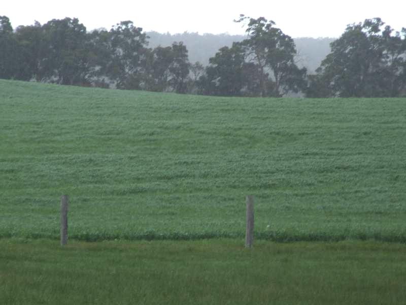 Lot 2 Hundley, Noggerup WA 6225