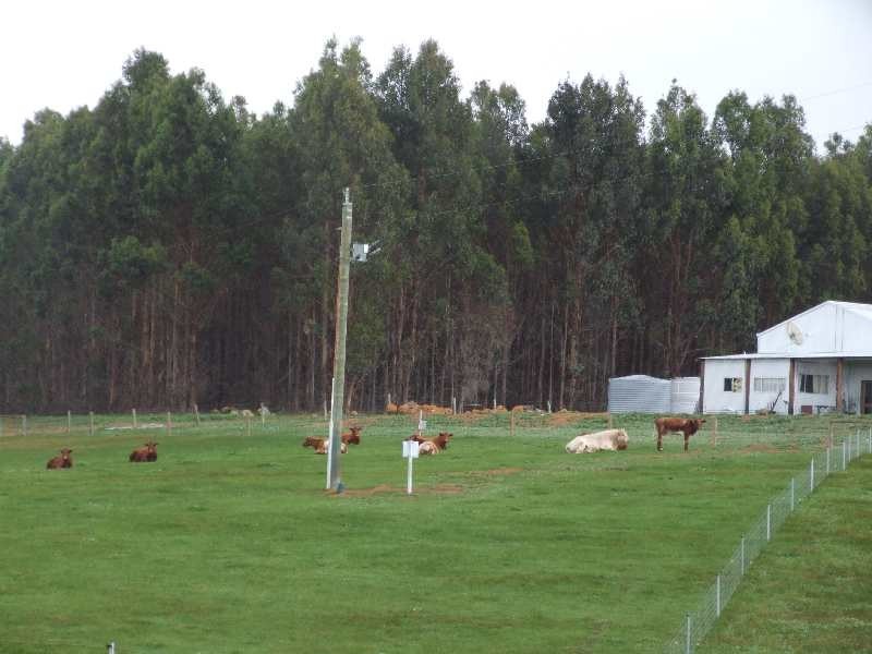 Lot 2 Hundley, Noggerup WA 6225