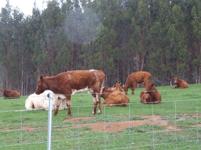 Lot 2 Hundley, Noggerup WA 6225