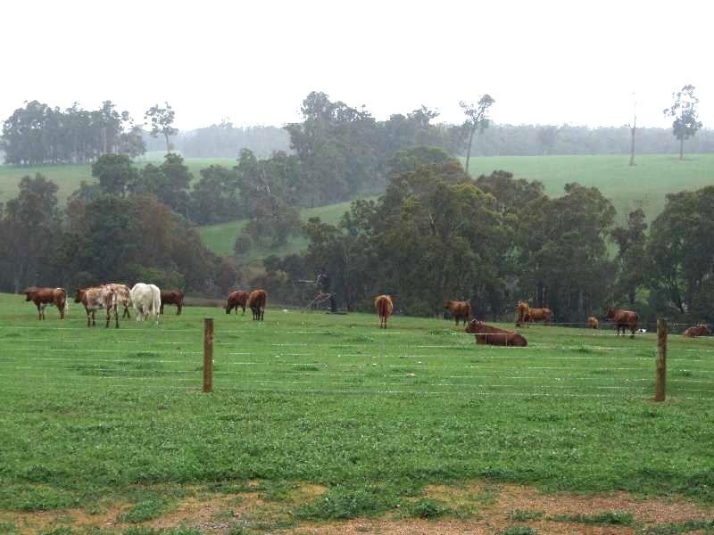 Lot 2 Hundley, Noggerup WA 6225