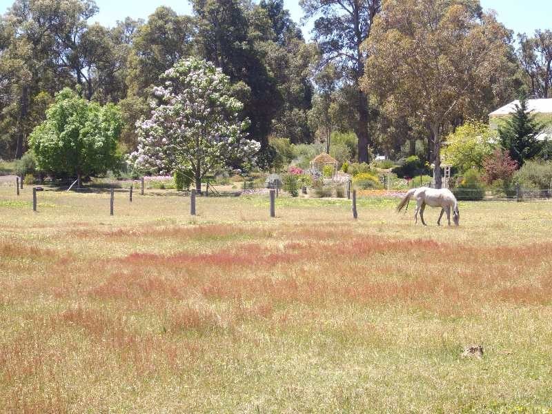 63 Howlett Ramble, Argyle WA 6239