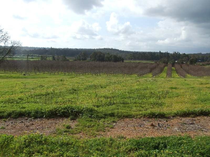 Lot 1,  Grist, Donnybrook WA 6239