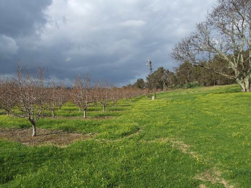 Lot 1,  Grist, Donnybrook WA 6239