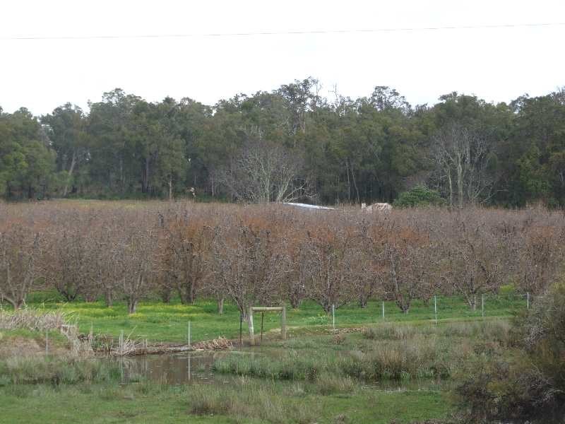 Lot 50,  Irishtown, Donnybrook WA 6239