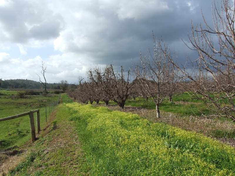 Lot 50,  Irishtown, Donnybrook WA 6239