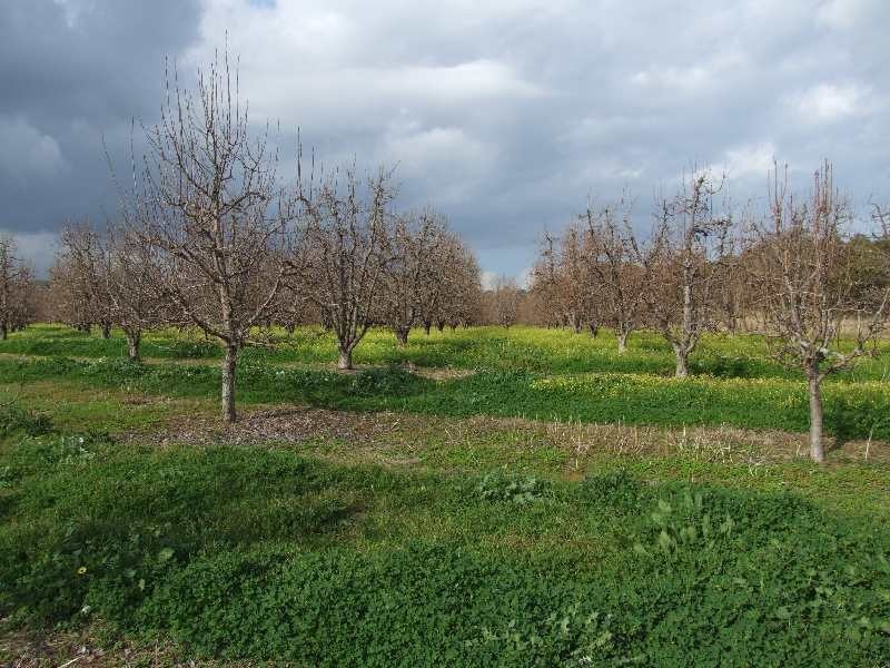 Lot 50,  Irishtown, Donnybrook WA 6239