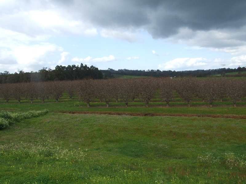 Lot 3244,  irishtown, Donnybrook WA 6239