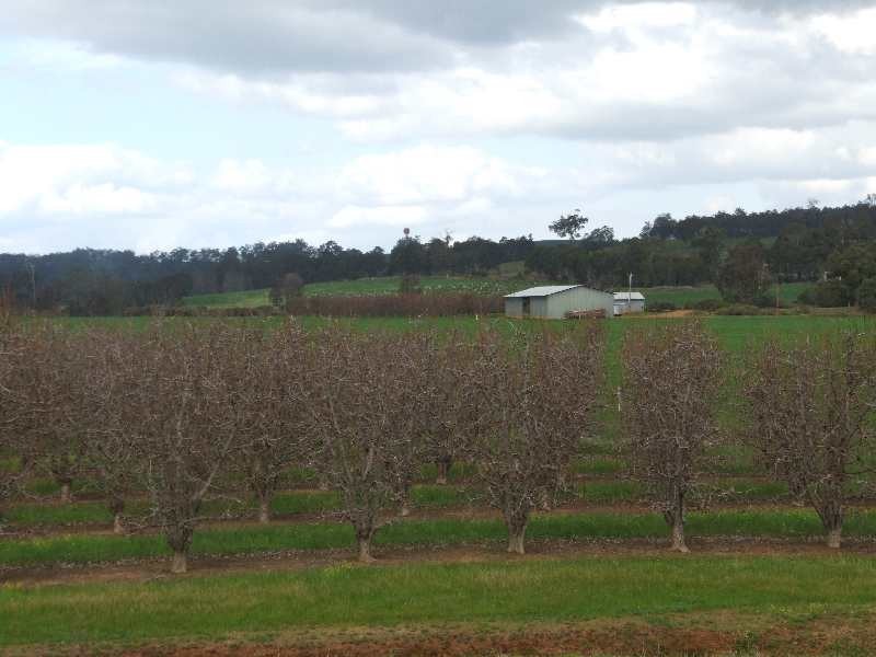 Lot 3244,  irishtown, Donnybrook WA 6239